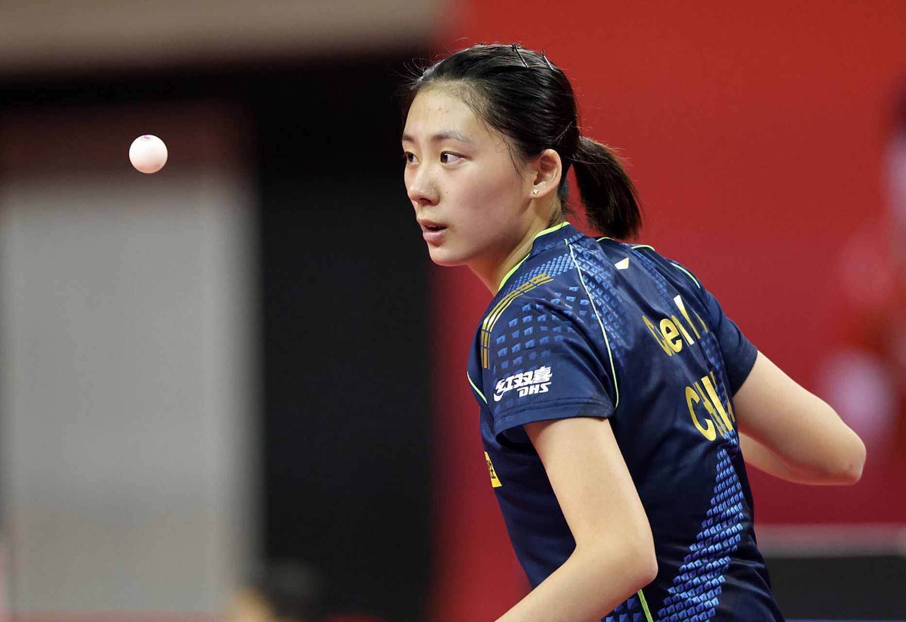 级巨星相提 级巨星相提