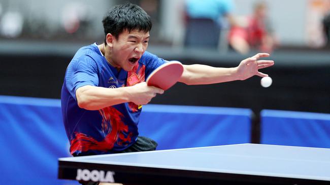 逐渐成长的 逐渐成长的