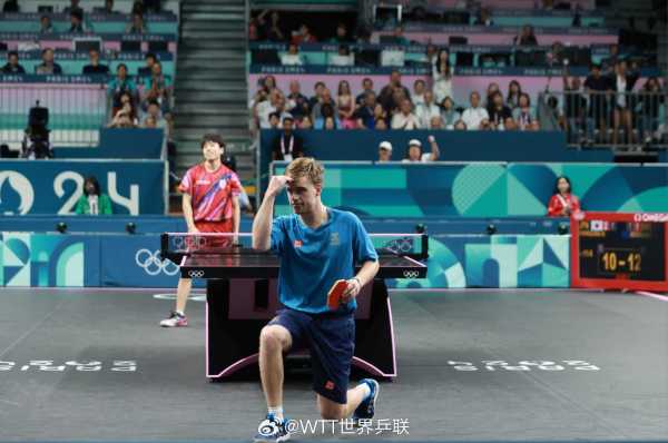 专家指出 专家指出