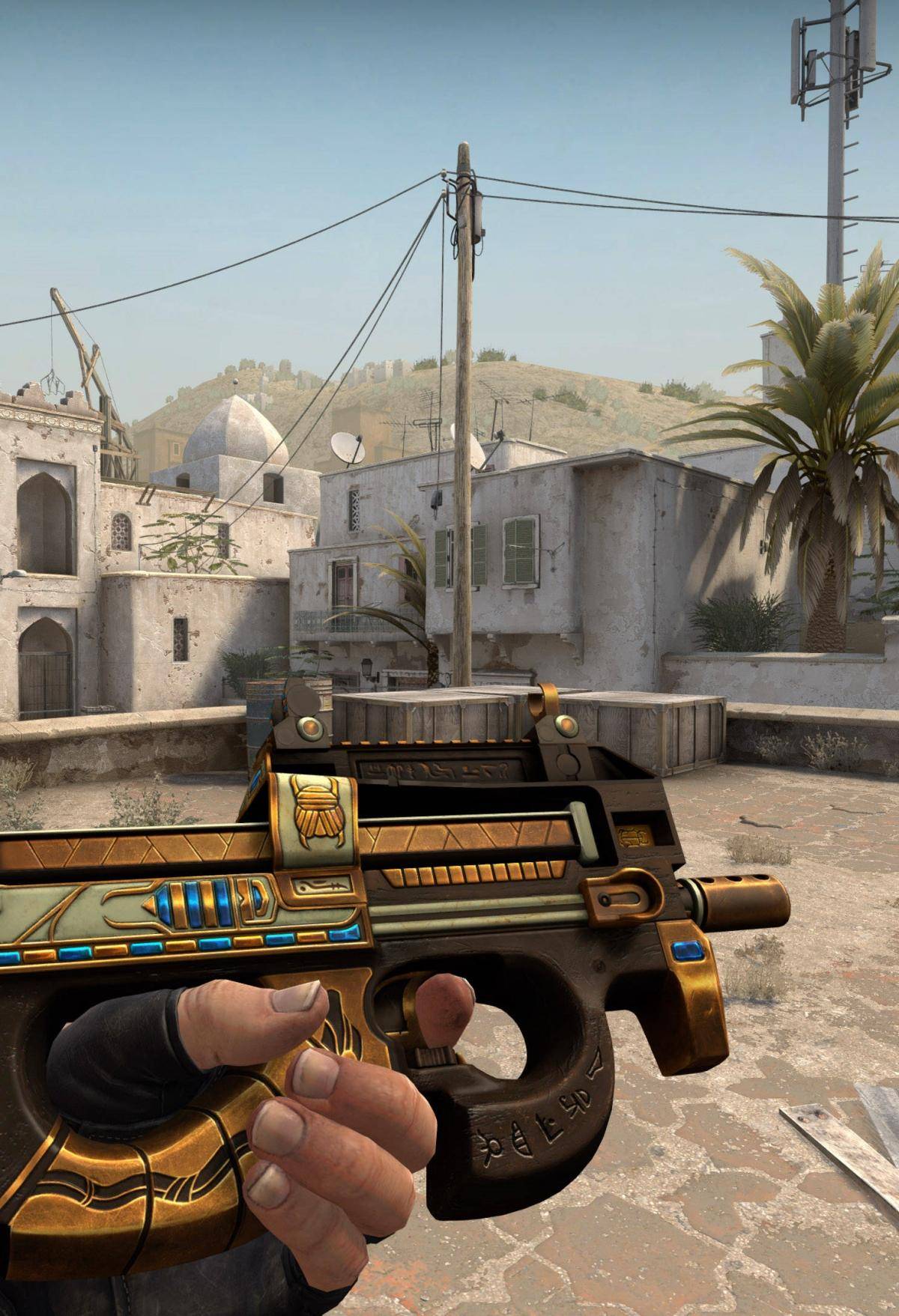 病频率较高 病频率较高