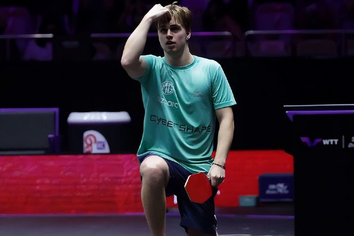 结论性判断 结论性判断